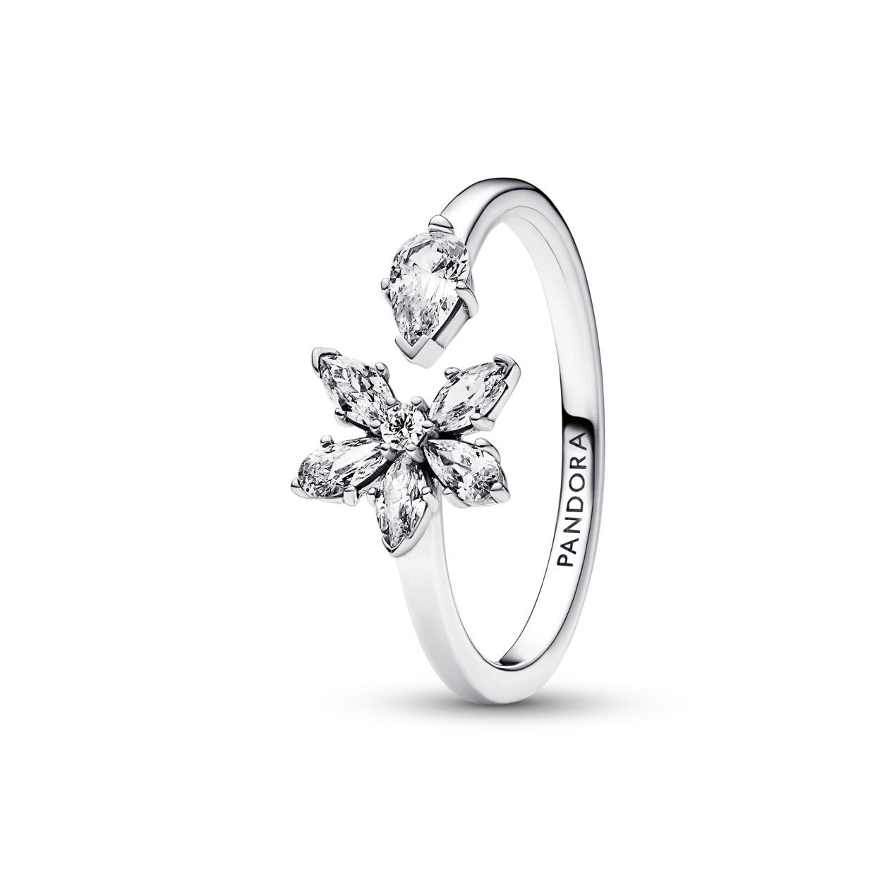 Sprankelende Herbarium Cluster Ring