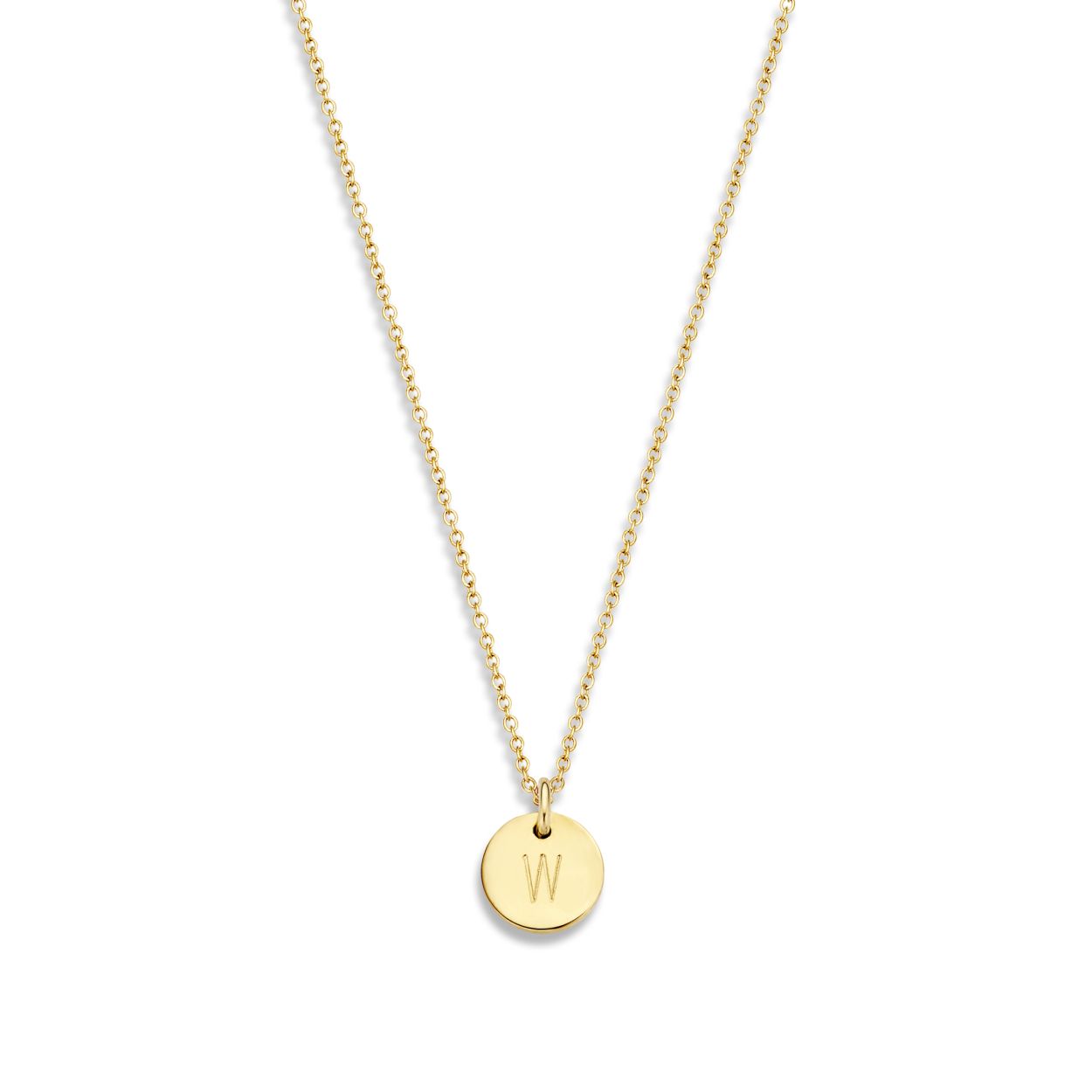 Coin Necklace 1 Coin is een prachtige ketting voor dames.