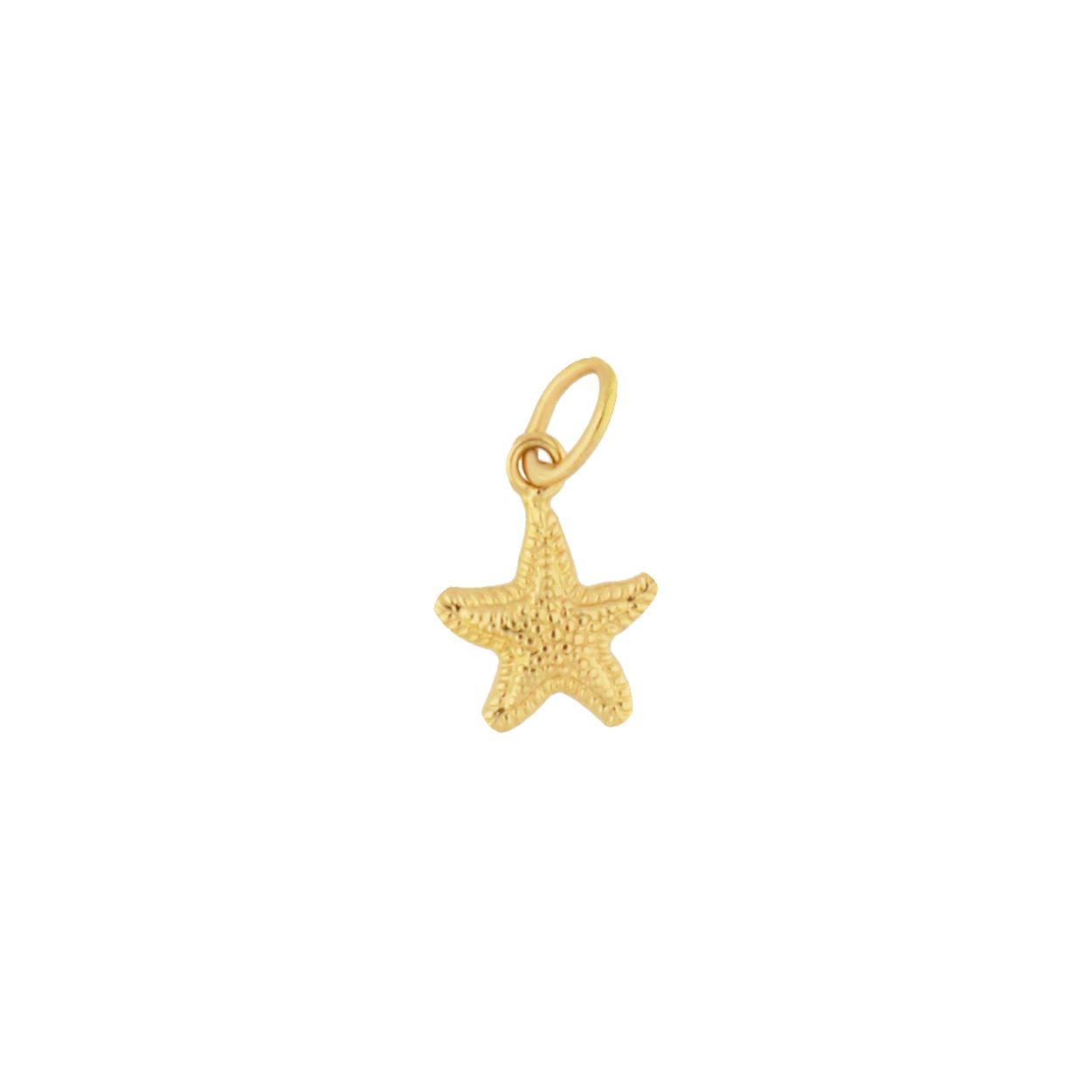 14 Karaat gouden hanger zeester.