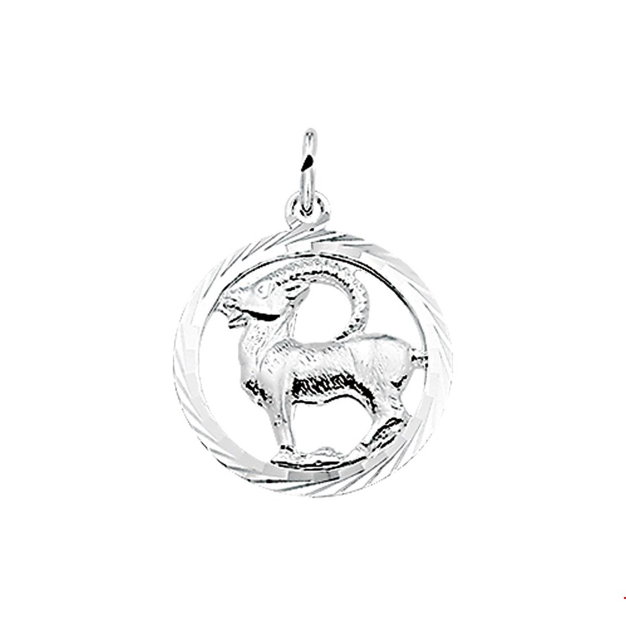 Zilveren bedel met steenbok sterrenbeeld.

Gender: unisex