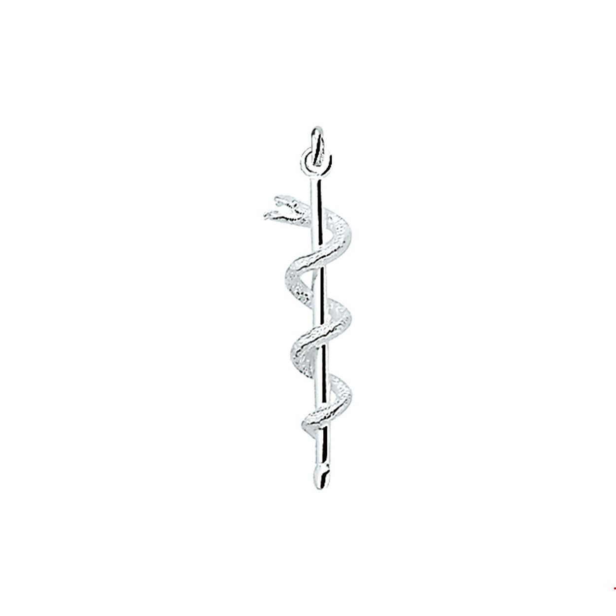Zilveren hanger Esculaap.
Hoogte: 28 mm