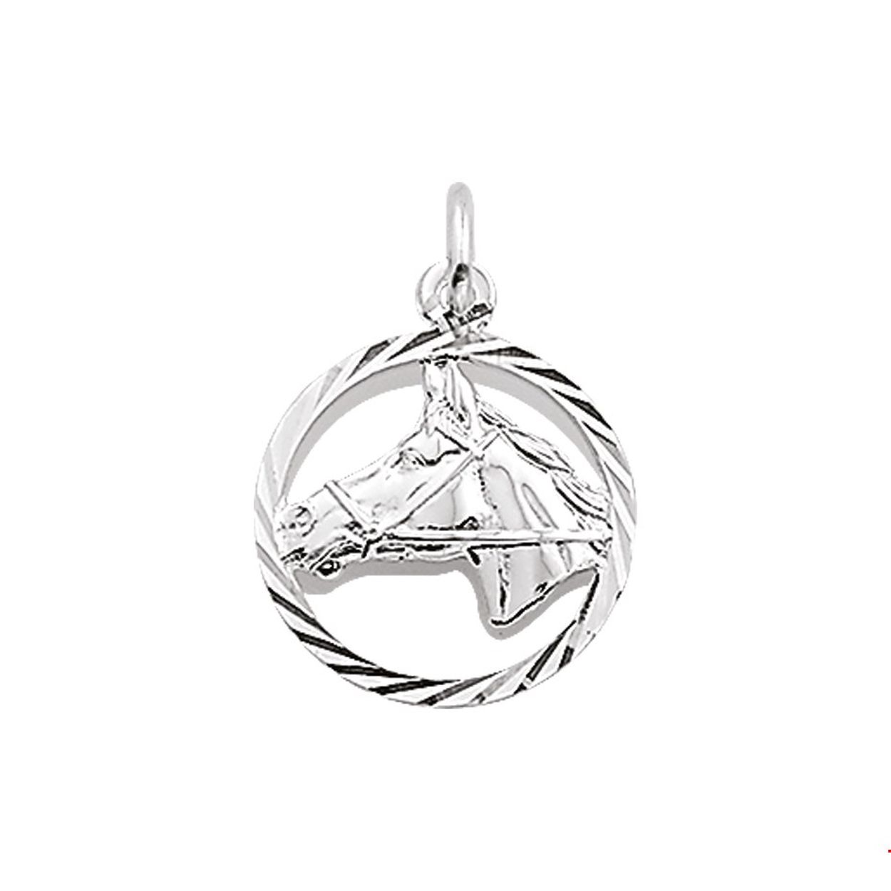 Zilvern hanger