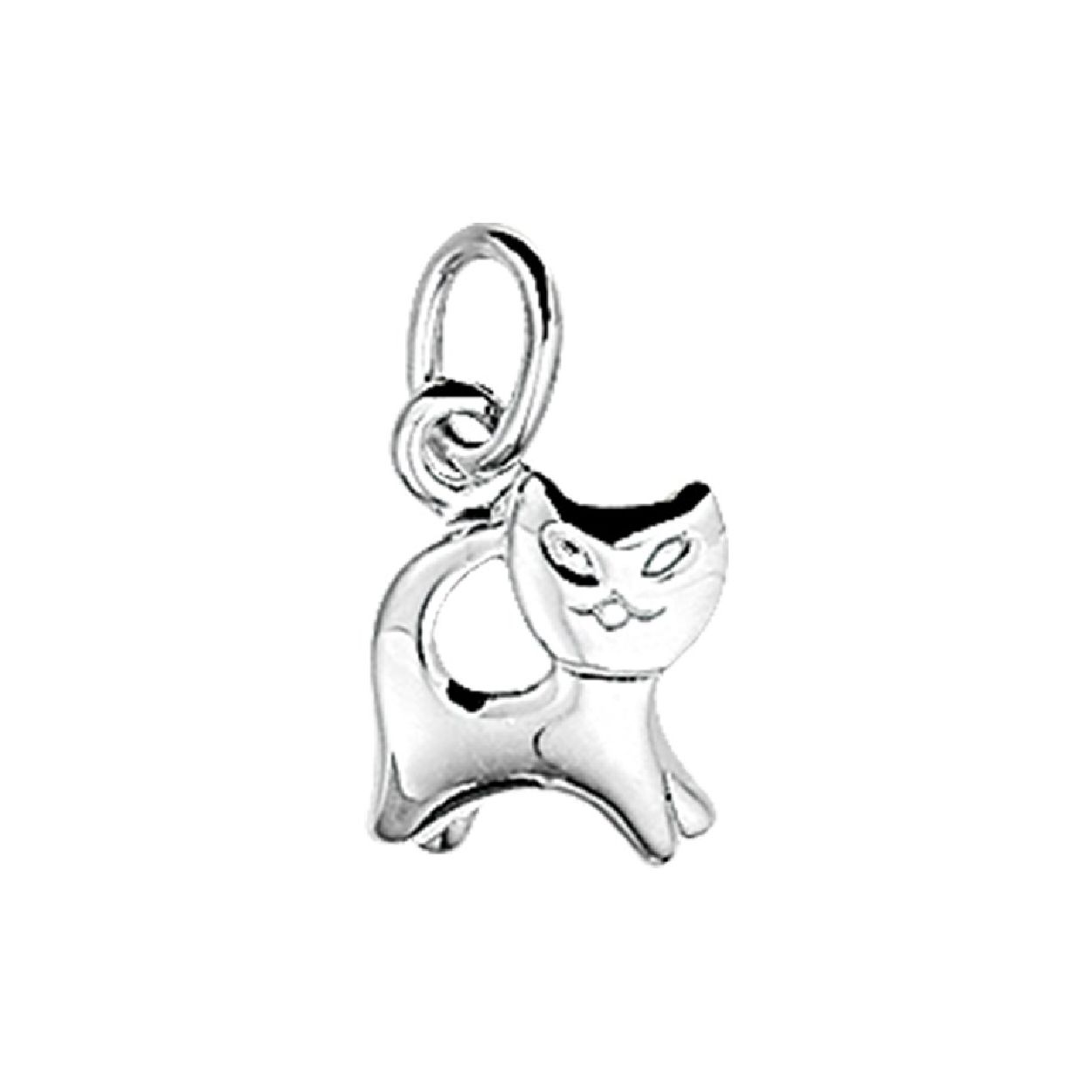 De hanger is gemaakt van zilver en is zilverkleurig. Het is een sieraad voor kinderen.