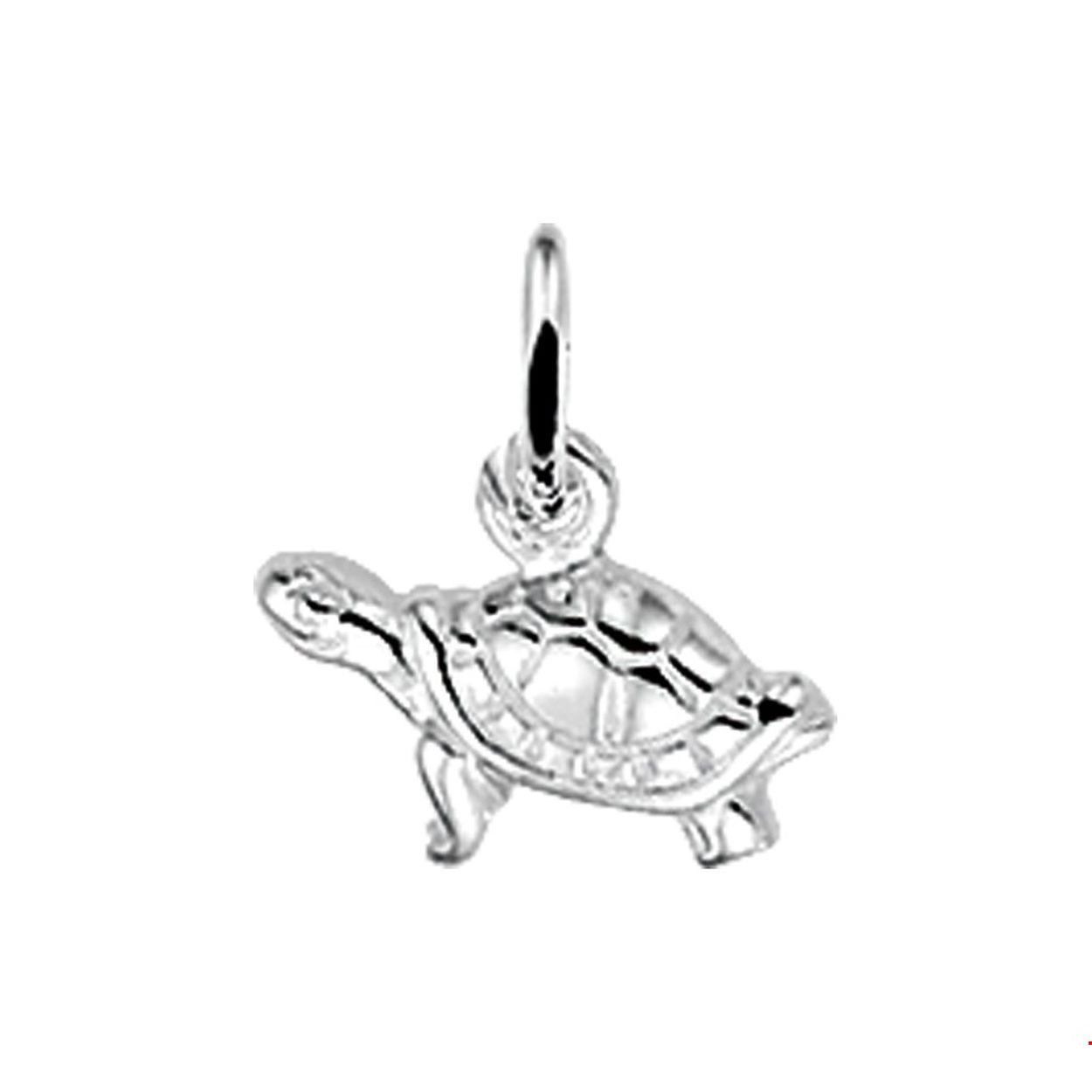 Zilver hanger schildpad
Doelgroep: kinderen
Breedte: 8.5 mm
Hoogte: 11 mm