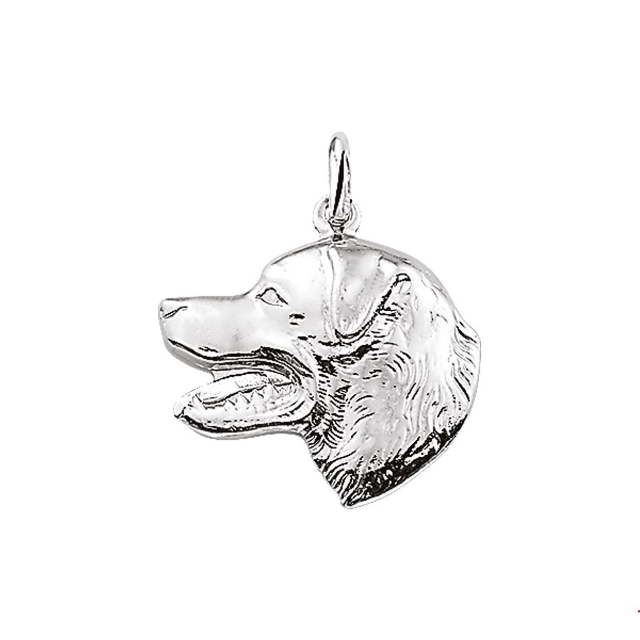 Hanger labrador kop