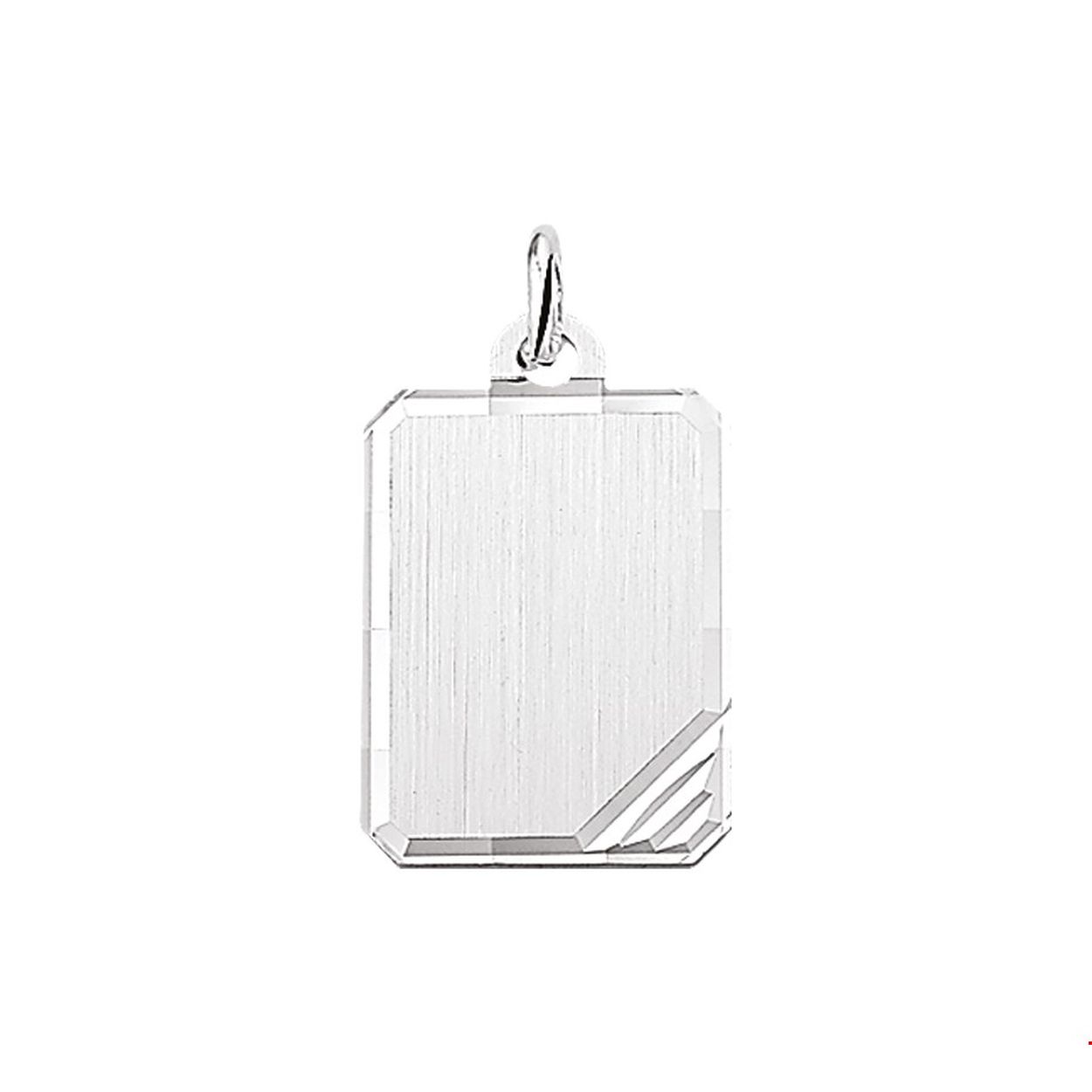 Beschrijving: Zilveren graveerhanger met een gediamanteerde afwerking. 
Doelgroep: unisex
Breedte: 16 mm
Hoogte: 21 mm