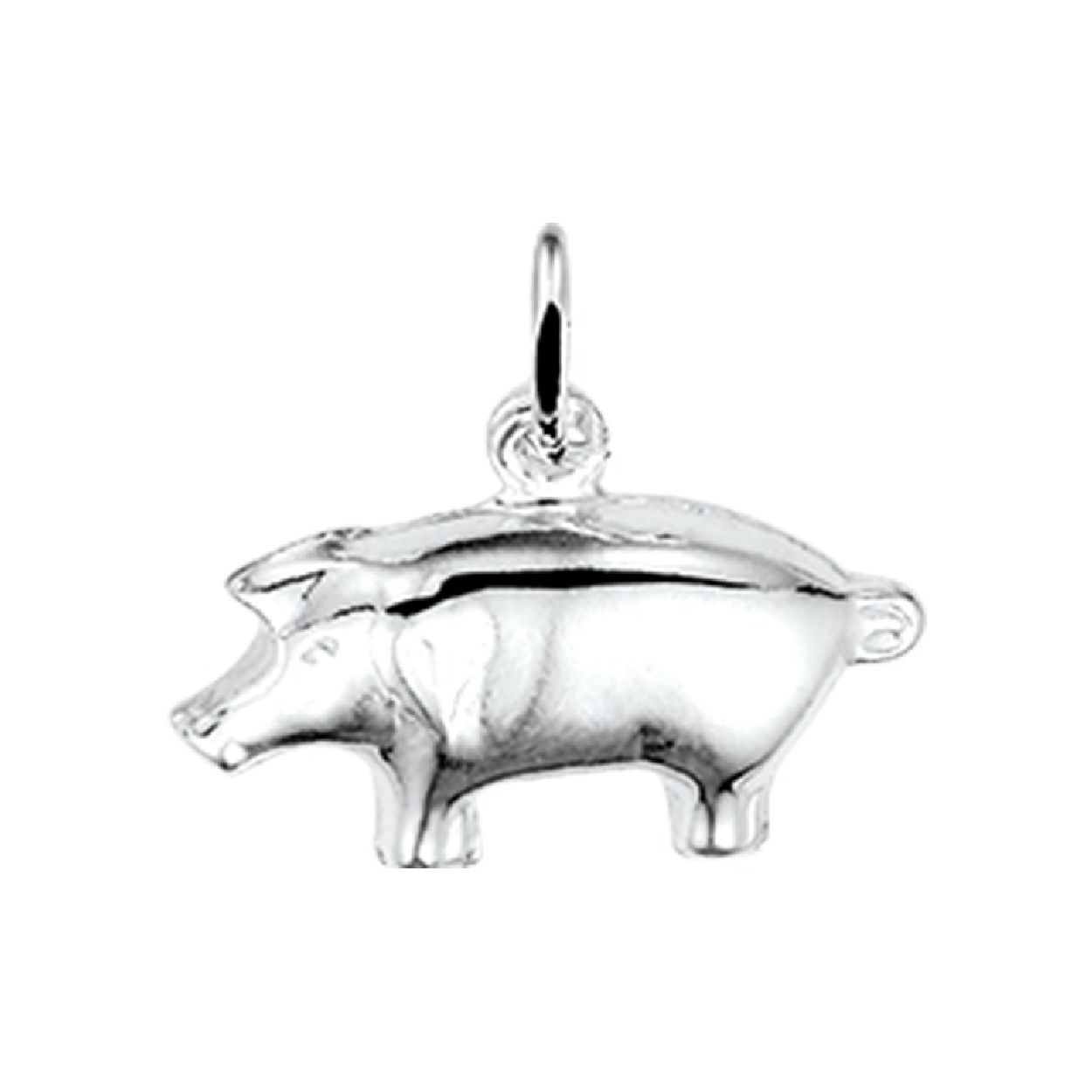 De hanger is gemaakt van zilver en is zilverkleurig. Het is een sieraad voor kinderen.