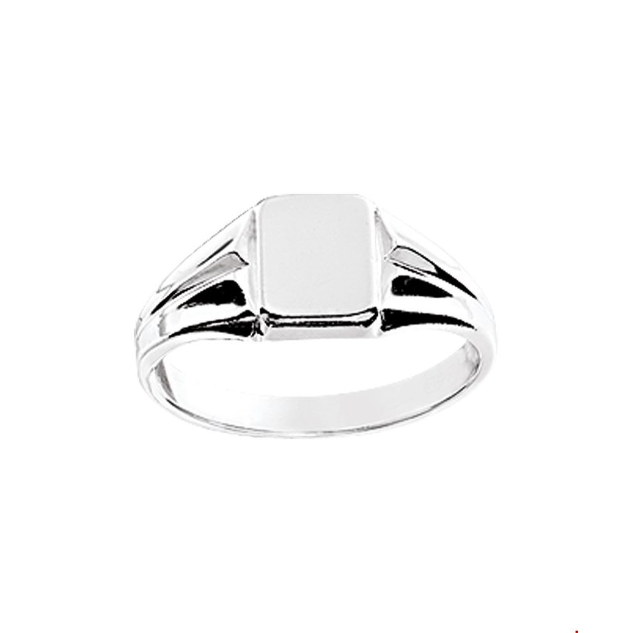 Zilver zegelring maat 12.5
1014758