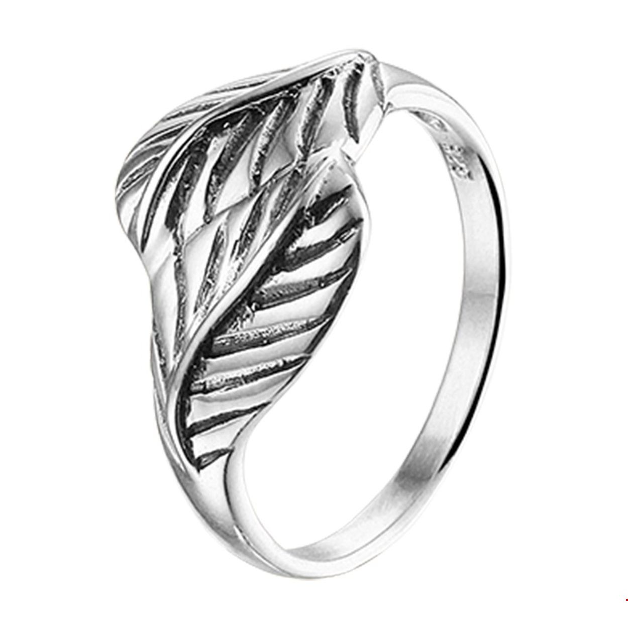 Beschrijving: Geoxideerd zilveren ring met een veer.
Uniekenummer serie: 36997
Verpakt per: 1
Doelgroep: dames
Ringmaat: 17.00 mm (53)
Breedte: 12.5 mm