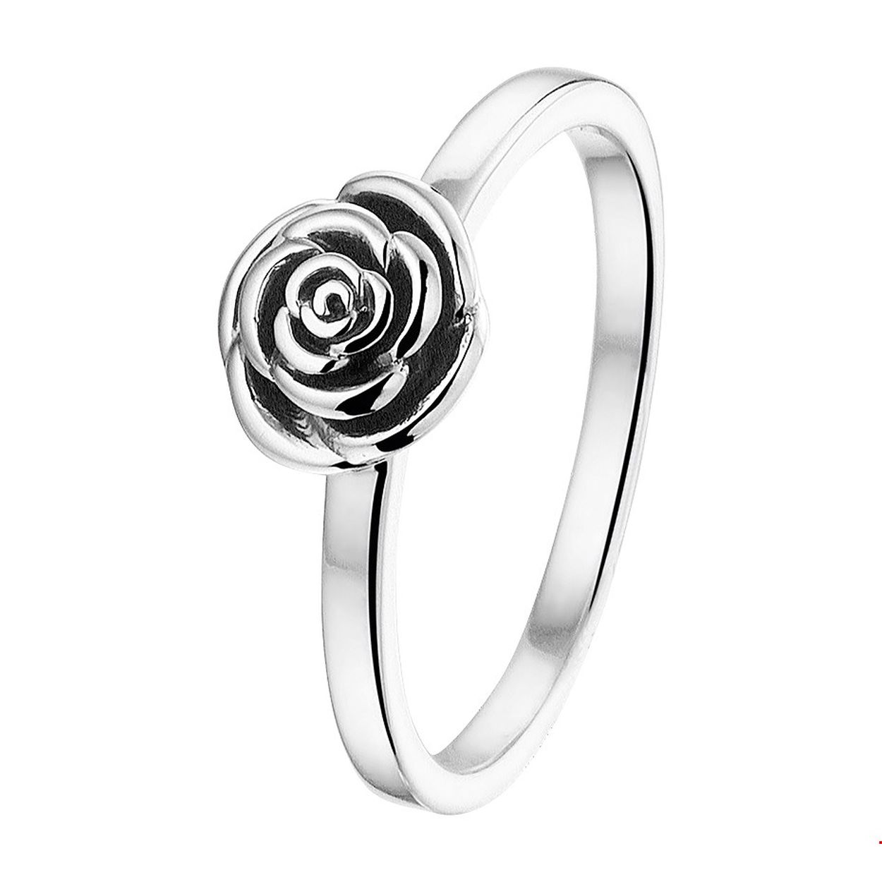 Zilveren dames ring