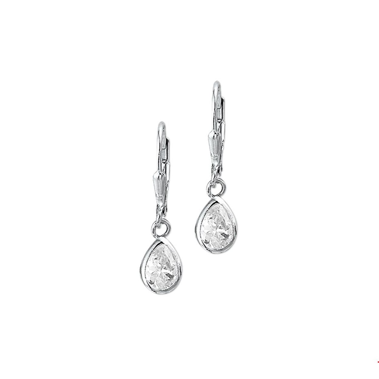 Beschrijving: Gerhodineerd zilveren oorhangers met zirkonia.
Uniekenummer serie: 25963
Doelgroep: dames
Zetting: solitaire (kastzetting)