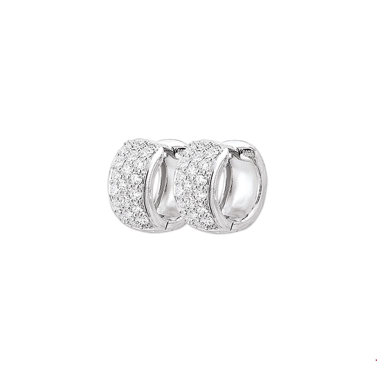 Beschrijving: Gerhodineerd zilveren klapcreolen met zirkonia.
Verpakt per: 1
Doelgroep: dames
Breedte: 7.8 mm
Zetting: pave