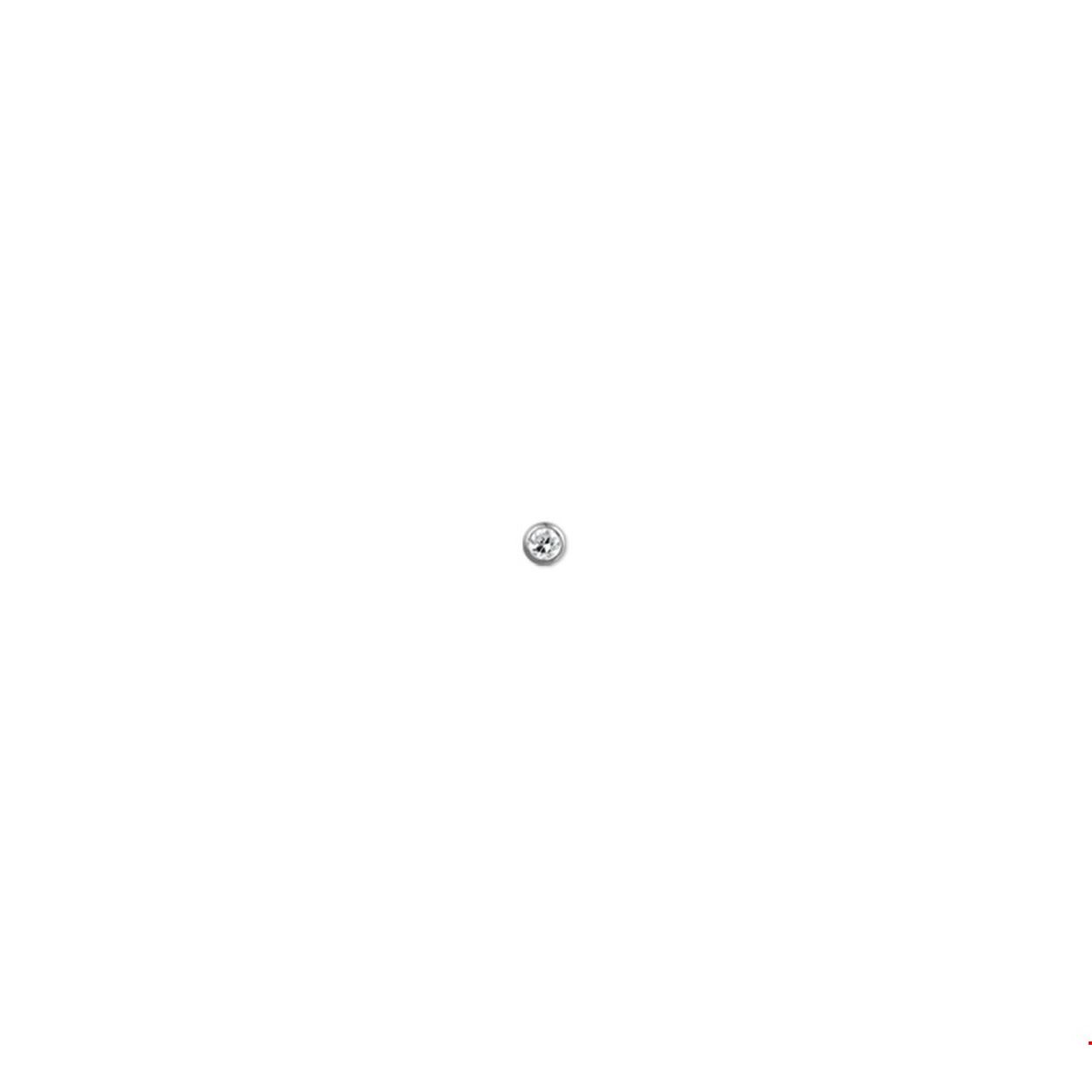 neusknopje met een bolletje
Breedte: 2.5 mm
Hoogte: 2.5 mm
Zetting: solitaire (kastzetting)