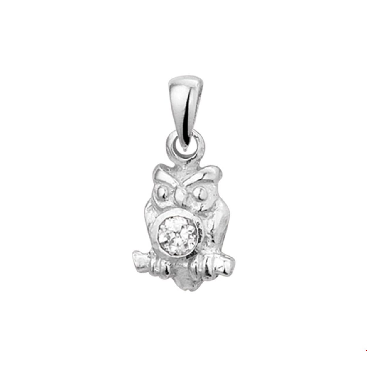 Beschrijving: Gerhodineerd zilveren hanger met een uil. 
Doelgroep: unisex
Breedte: 9 mm
Hoogte: 13.5 mm