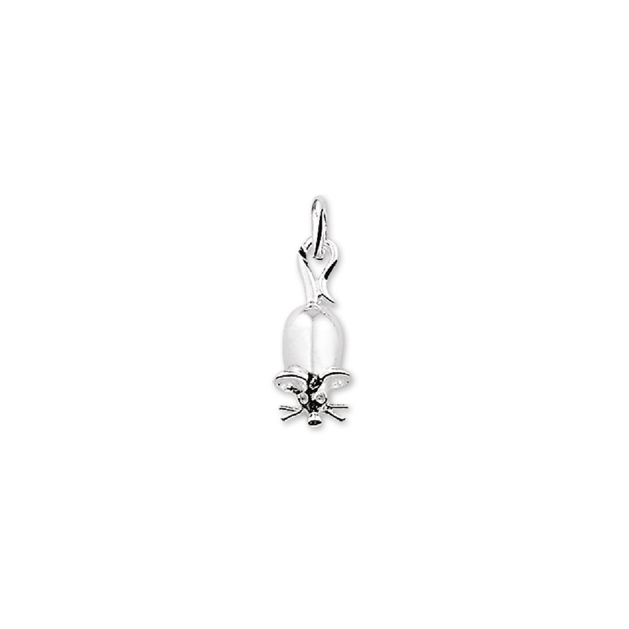 De hanger is gemaakt van gerhodineerd zilver en is zilverkleurig. Het is een sieraad voor kinderen.