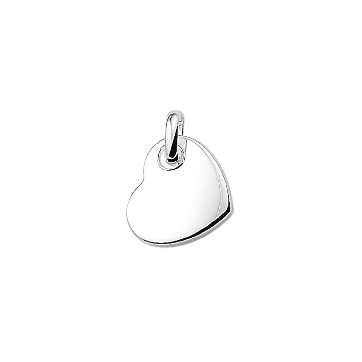 De hanger is gemaakt van gerhodineerd zilver en is kleurig. Het is een sieraad voor dames.