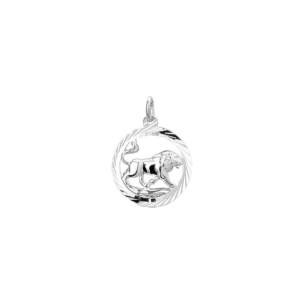 De hanger is gemaakt van gerhodineerd zilver en is zilverkleurig. Het is een sieraad voor unisex.