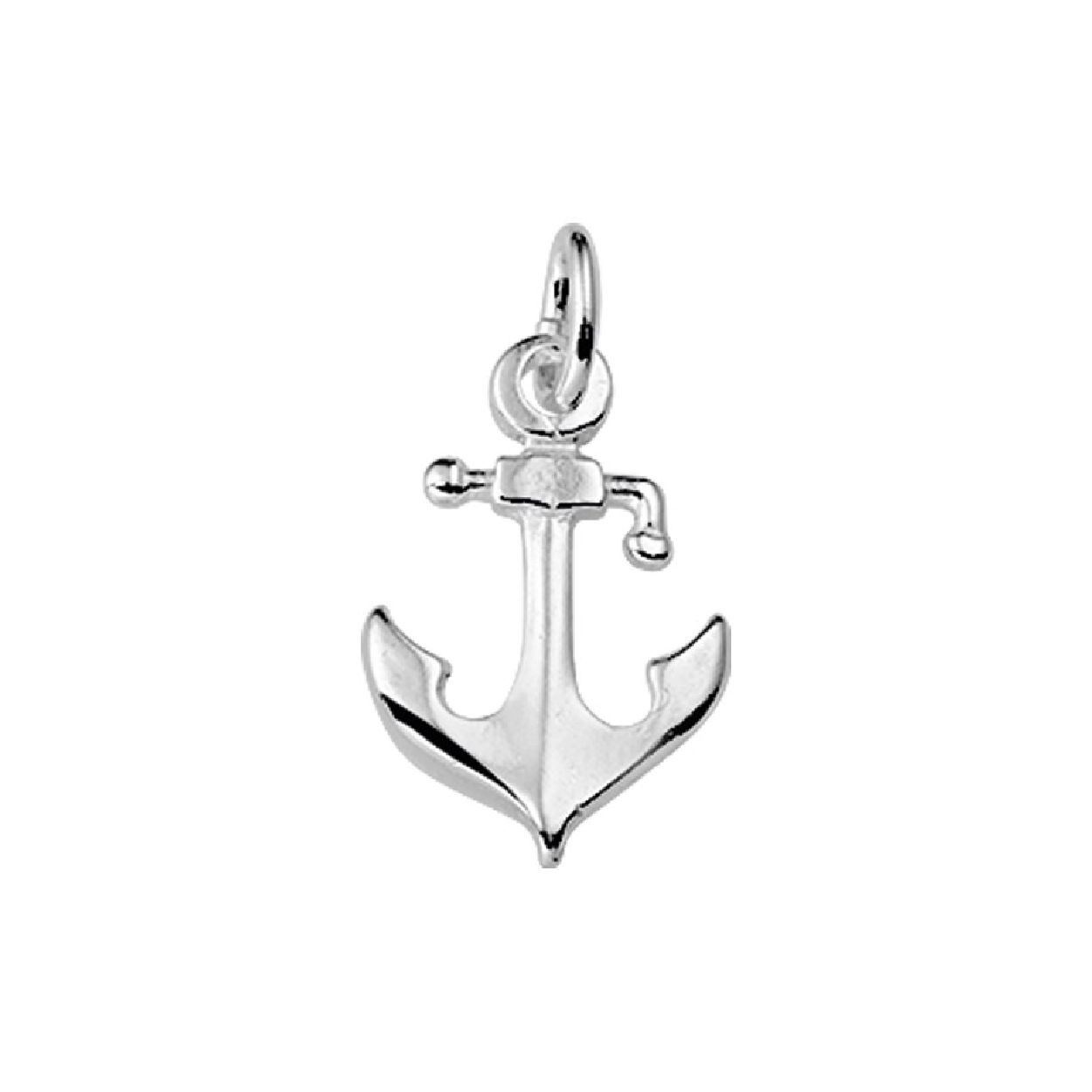 De hanger is gemaakt van gerhodineerd zilver en is zilverkleurig. Het is een sieraad voor dames.