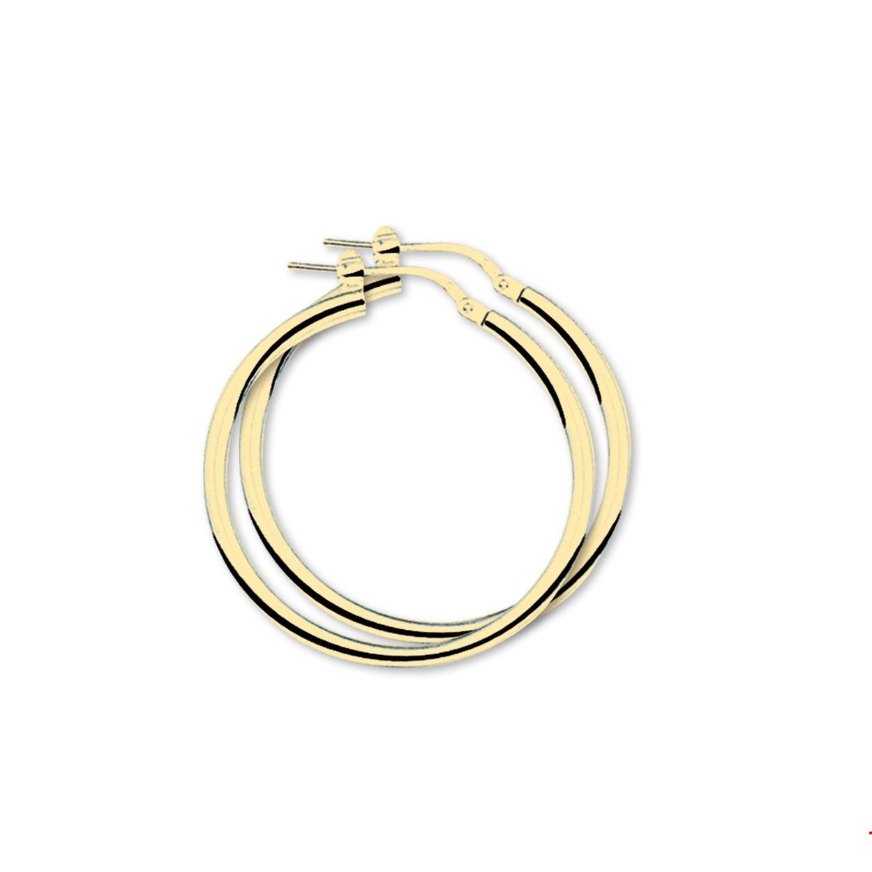 Beschrijving: Zilveren oorringenmet een ronde buis en een hefboom-sluiting. De oorringen hebben een geelgouden plating. 
Uniekenummer serie: 26371
Verpakt per: 1
Doelgroep: dames