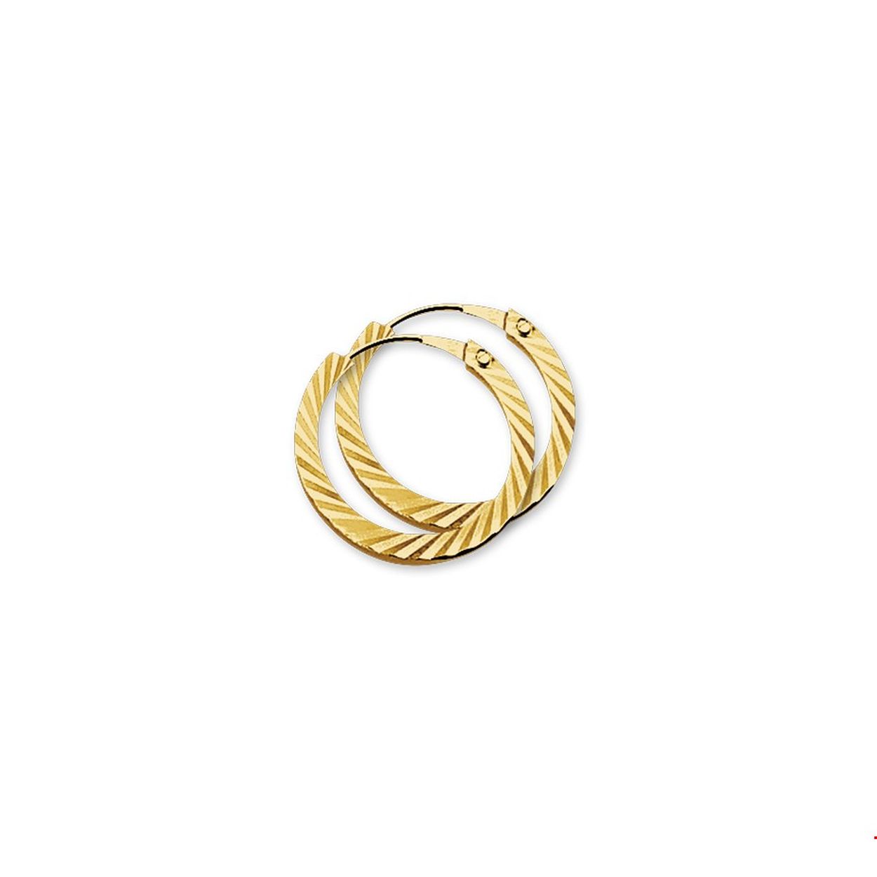 14krt geelgouden creolen met een vierkante gediamanteerde buis en een scharnier-sluiting.
Dikte: 1,6 mm
Diameter: 16 mm