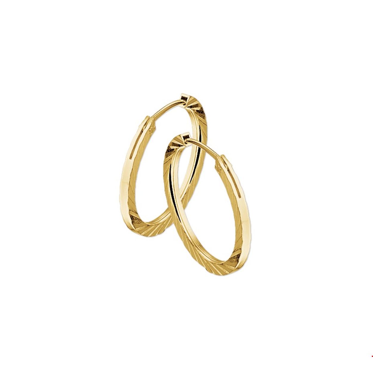 14krt geelgouden buis oorringen gediamanteerd met een scharniersluiting.
Dikte: 1,6mm
Diameter: 18mm