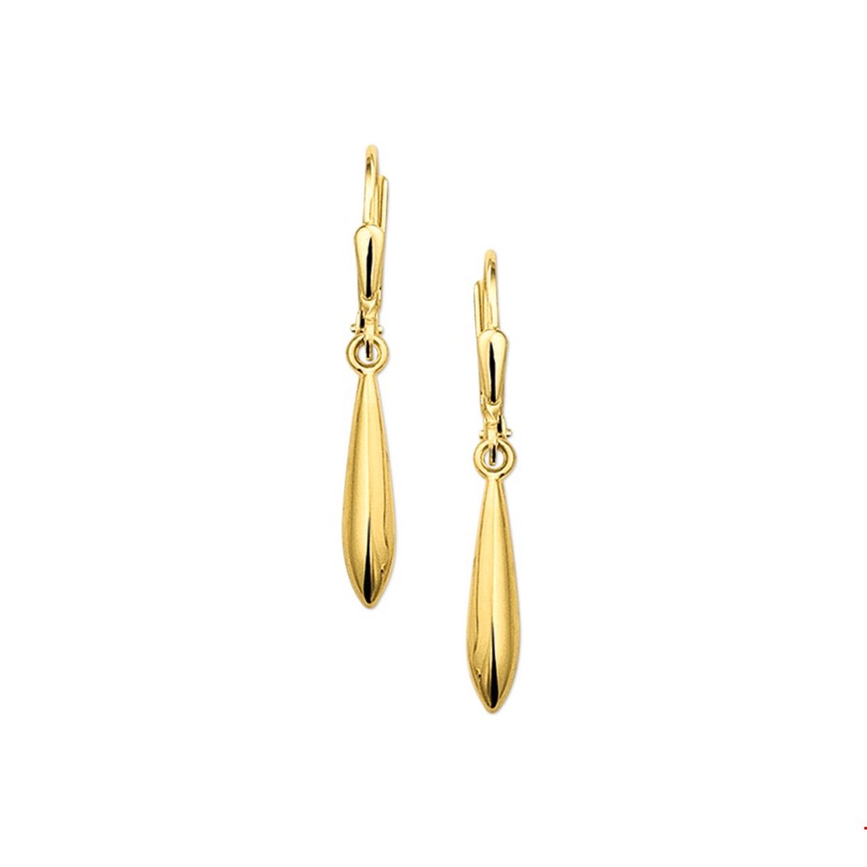 14k Geelgouden oorhangers in pegelvorm. De oorhangers hebben een totale afmeting van 30x3.5mm.