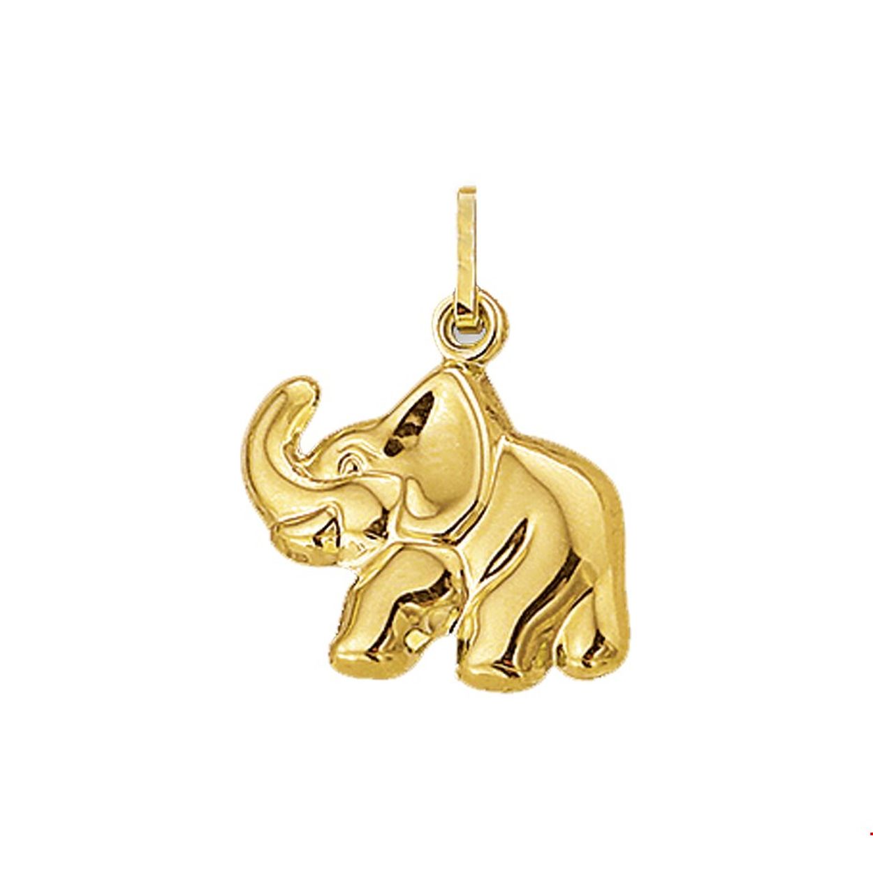 Beschrijving: Geelgouden bedel met een olifant.
Verpakt per: 1
Doelgroep: unisex
Breedte: 14 mm
Hoogte: 13 mm