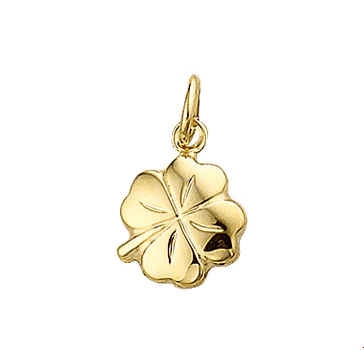 Beschrijving: Geelgouden hanger met een klavertje.
Verpakt per: 1
Doelgroep: unisex
Breedte: 10 mm
Hoogte: 13 mm
