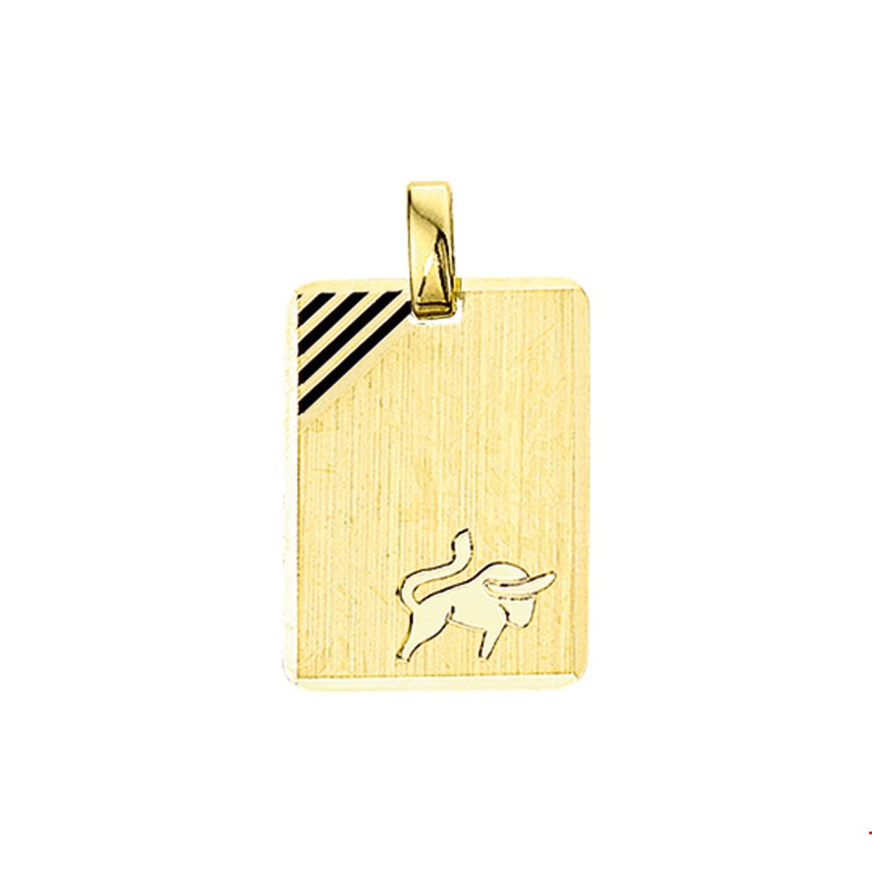 14K graveerhanger met sterrenbeeld
