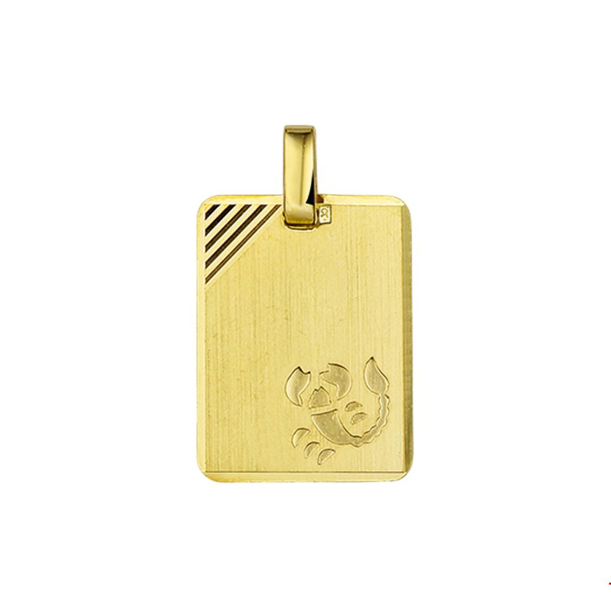 14K graveerhanger met sterrenbeeld