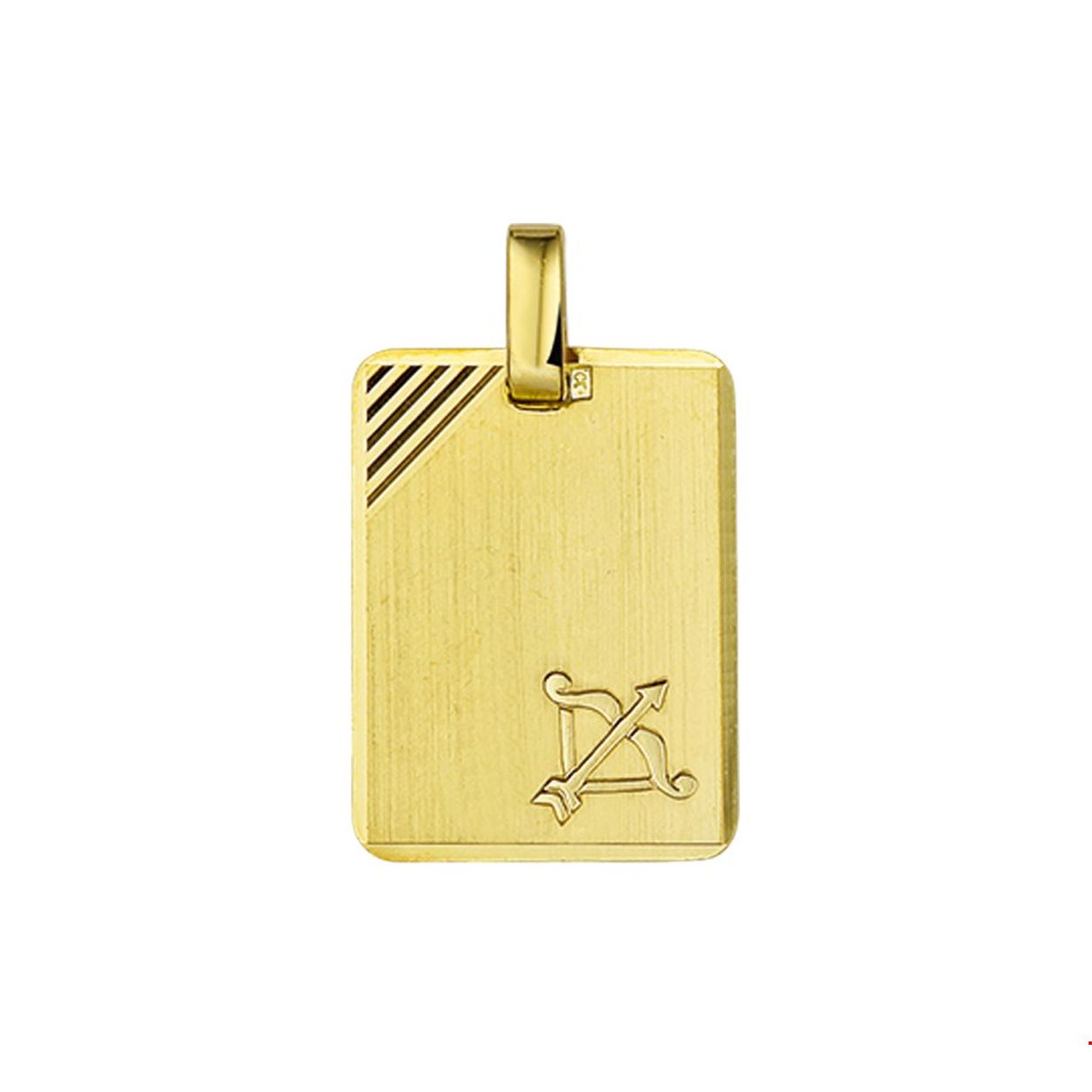 14K gouden hanger met sterrenbeeld