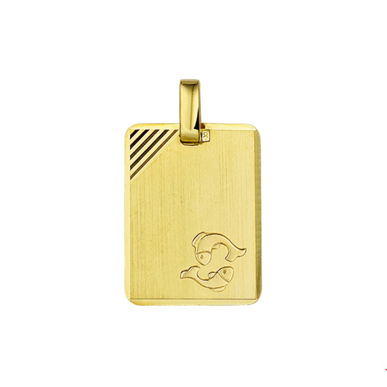 14K gouden graveerhanger met sterrenbeeld