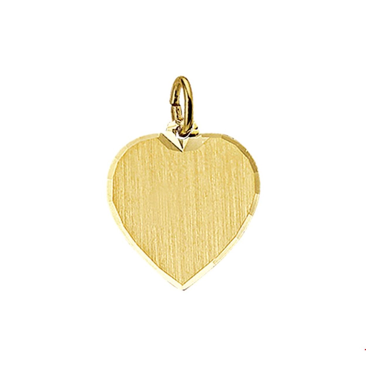 Beschrijving: Geelgouden graveerhanger met een gediamanteerde afwerking. 
Verpakt per: 1
Doelgroep: unisex
Breedte: 17 mm
Hoogte: 18 mm