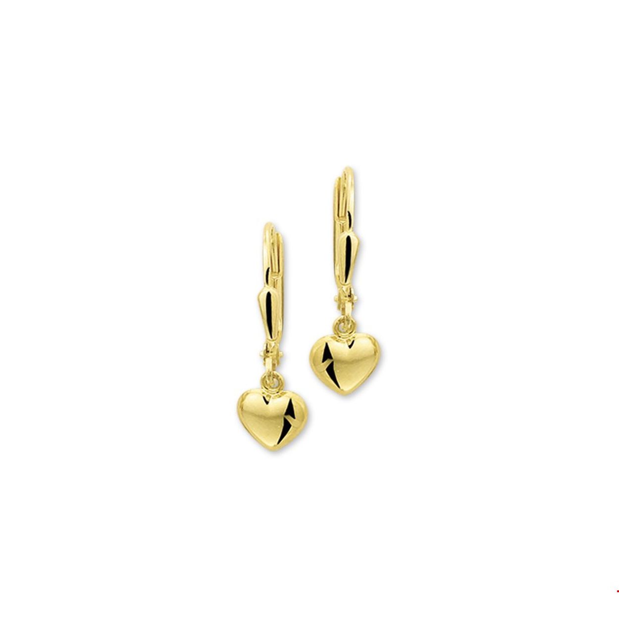 Geelgouden oorhangers met een hart. 
Breedte: 6.5 mm
Hoogte: 20 mm