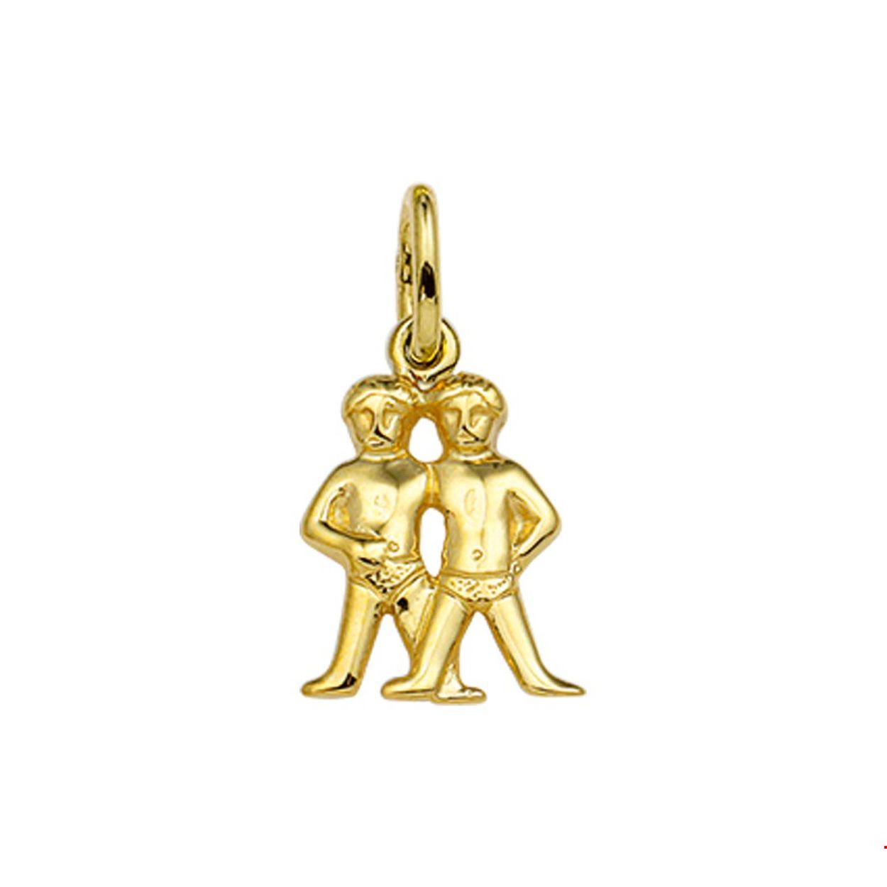 14 Karaat geelgouden 'Tweeling' sterrenbeeld hanger.