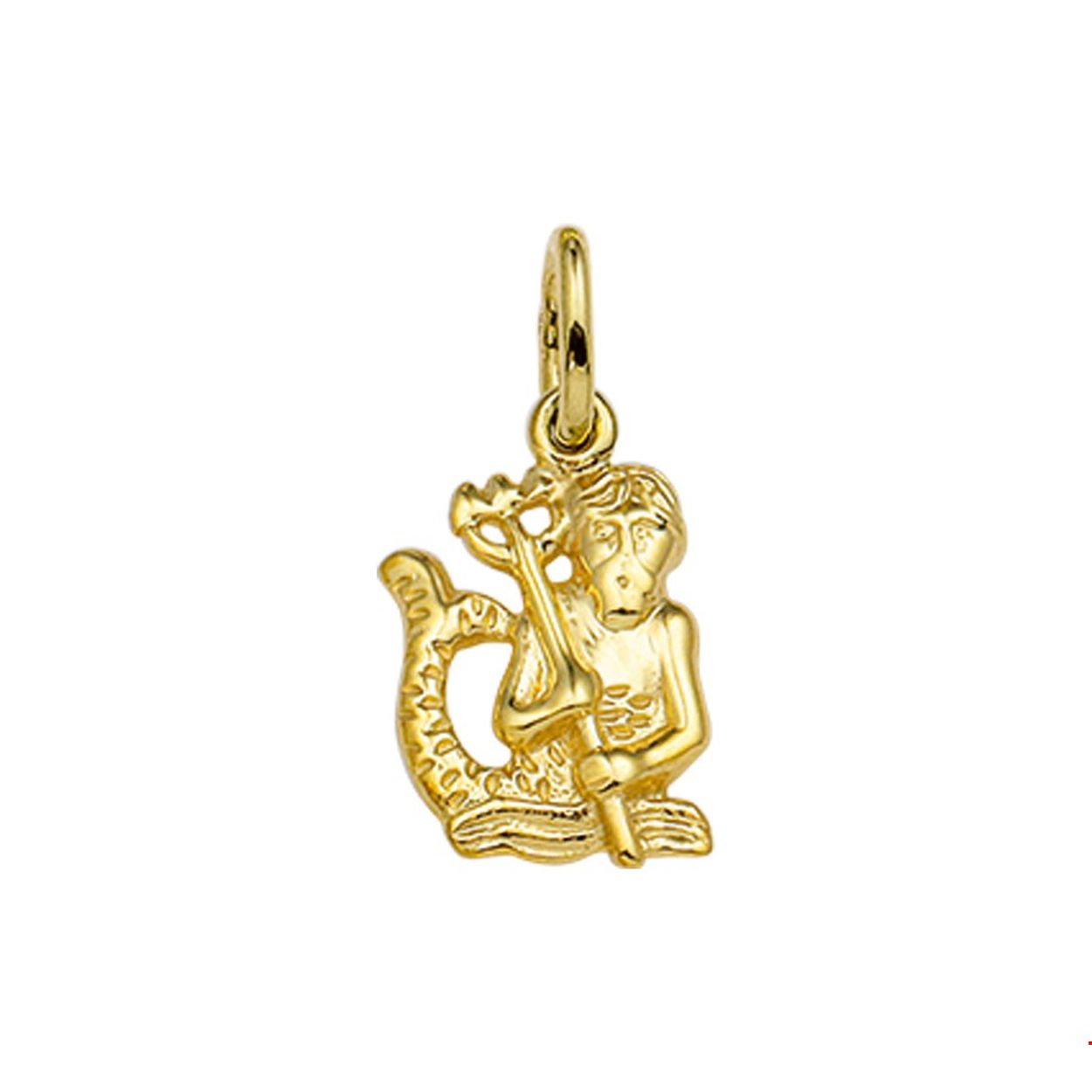Deze geelgouden hanger, die voor het sterrenbeeld waterman staat, kan aan een dun collier of armband.