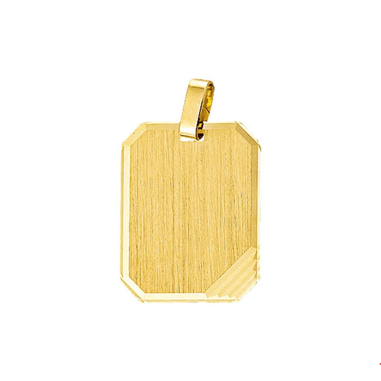 Beschrijving: Geelgouden graveerhanger met een gediamanteerde afwerking. 
Verpakt per: 1
Doelgroep: unisex
Breedte: 18 mm
Hoogte: 23 mm