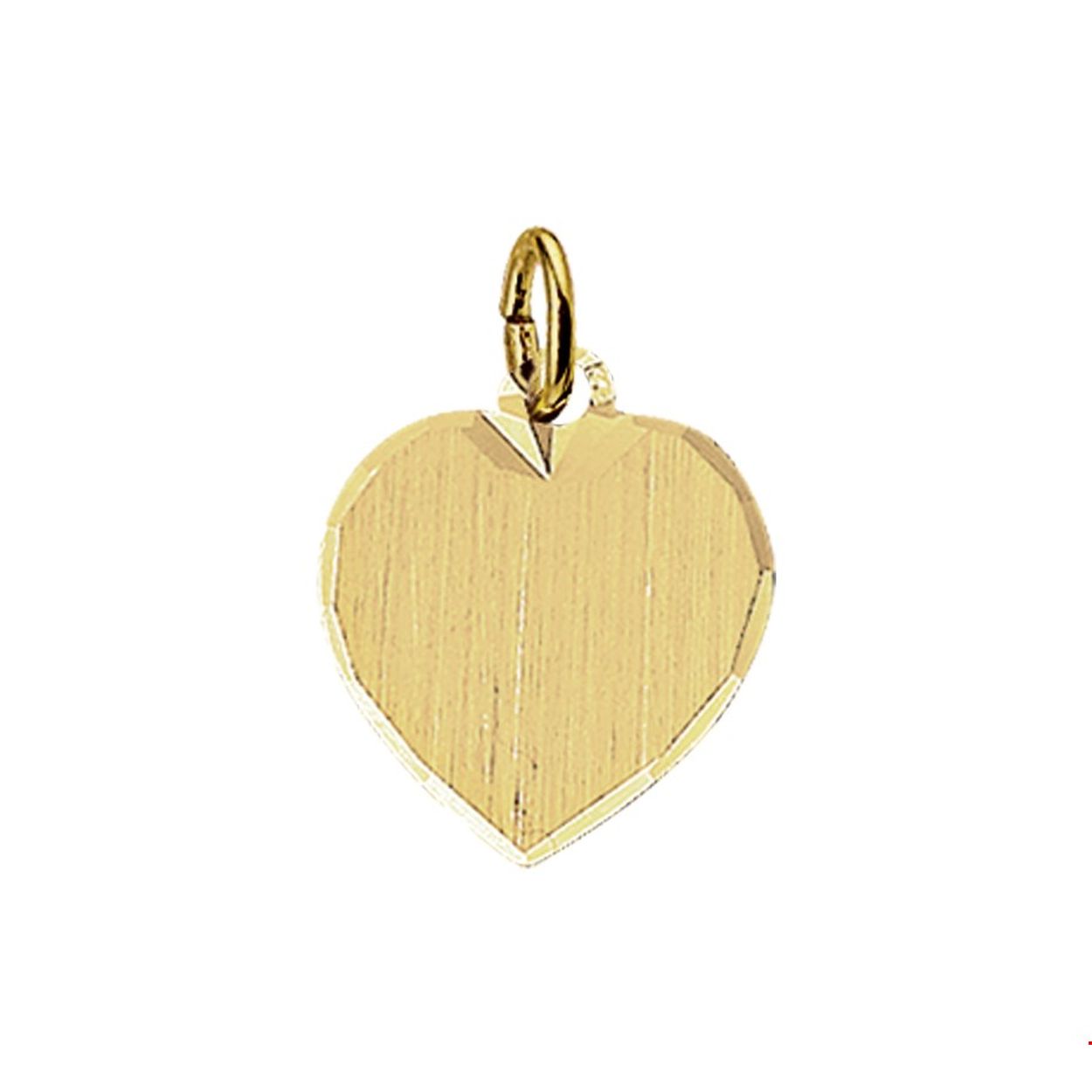 Beschrijving: Geelgouden graveerhanger met een gediamanteerde afwerking. 
Verpakt per: 1
Doelgroep: unisex
Breedte: 13 mm
Hoogte: 13 mm
