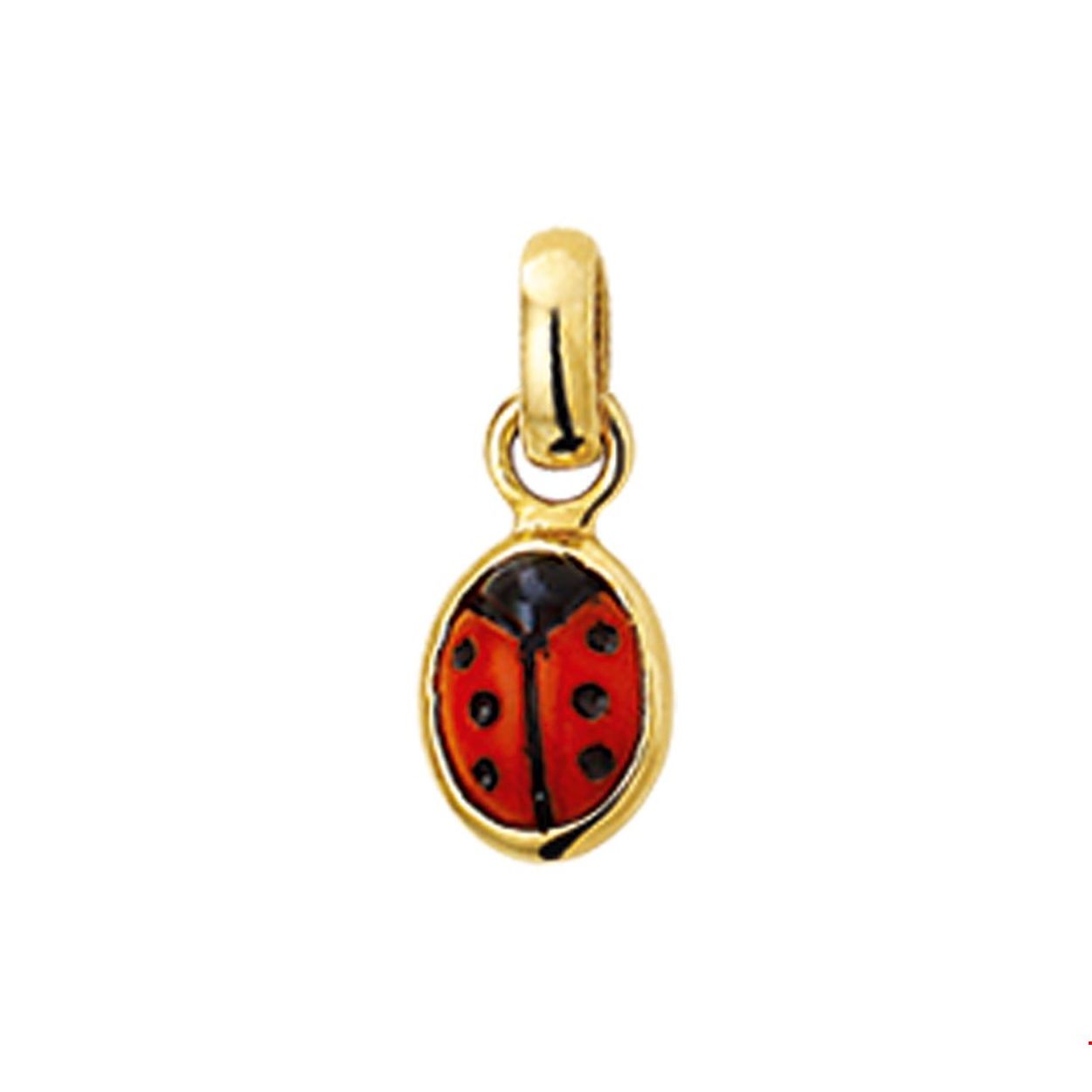 Geelgouden hanger met een kever.