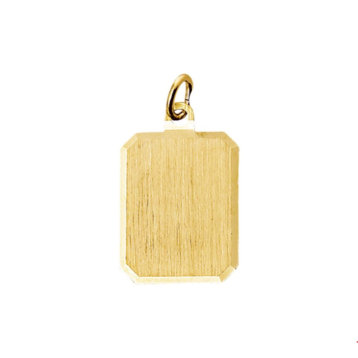 Beschrijving: Geelgouden graveerhanger met een gediamanteerde afwerking. 
Verpakt per: 1
Doelgroep: unisex
Breedte: 14 mm
Hoogte: 18 mm