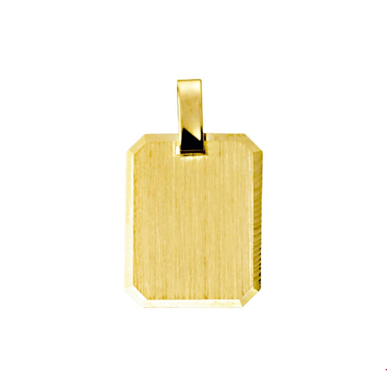 Beschrijving: Geelgouden graveerhanger met een gediamanteerde afwerking. 
Verpakt per: 1
Doelgroep: unisex
Breedte: 14 mm
Hoogte: 18 mm