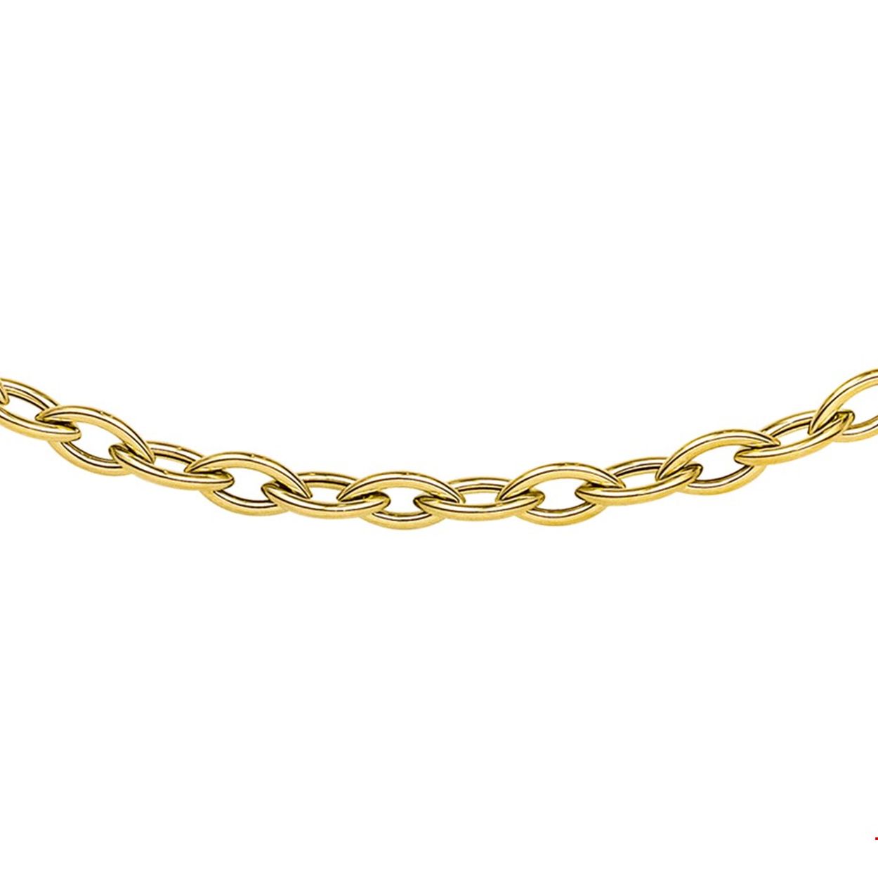 Beschrijving: Geelgouden collier.
Verpakt per: 1
Doelgroep: dames
Breedte: 5 mm
Langste lengte: 45 mm