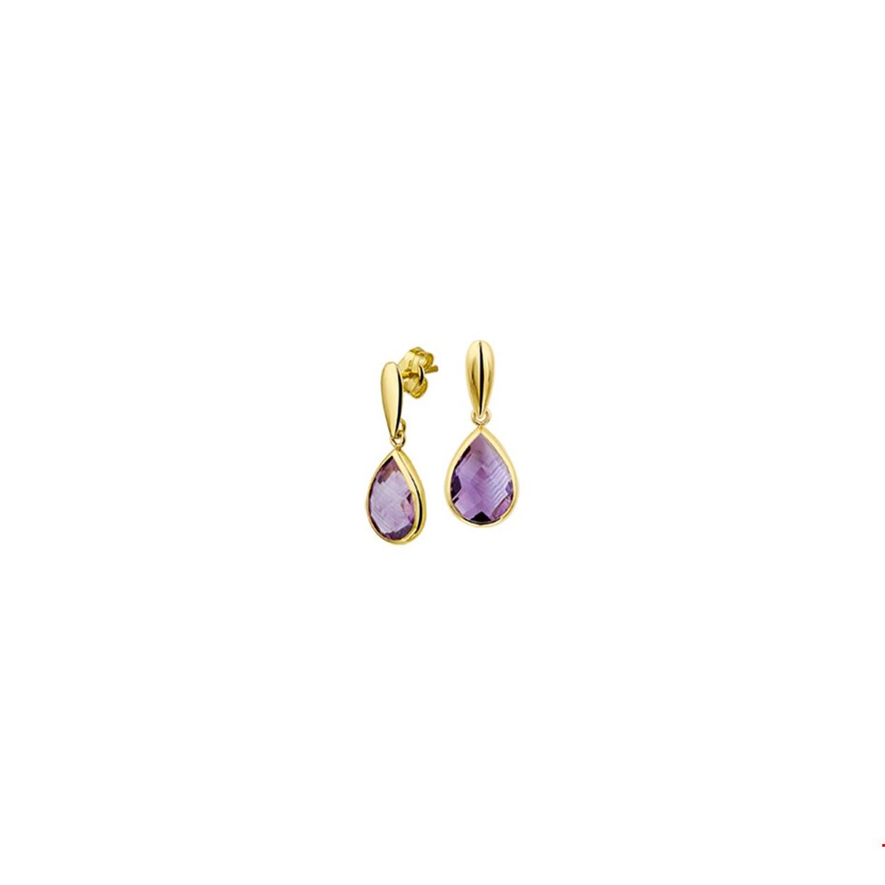 Beschrijving: Juist door het simplistische design is dit een echte eyecatcher. Ontdek hoe de kleuren van het goud en de edelsteen elkaar versterken. Details: Geelgouden oorhangers met paarse amethyst. De oorhangers zijn onderdeel van een set. 
Verpakt per: 1
Doelgroep: dames
Breedte: 7.5 mm
Hoogte: 20 mm
