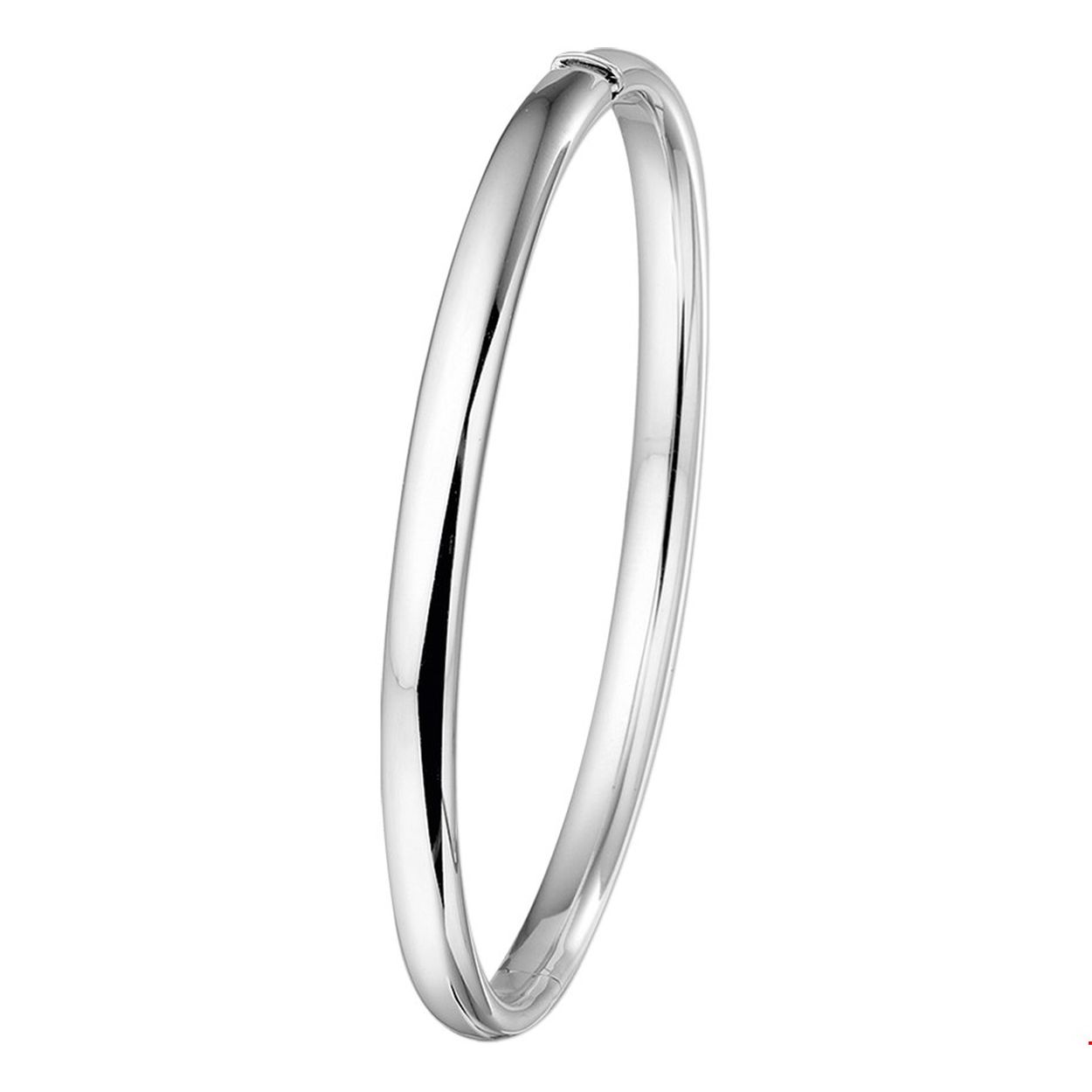 bangle scharnier ovale buis 5 x 60 mm
Breedte: 5 mm