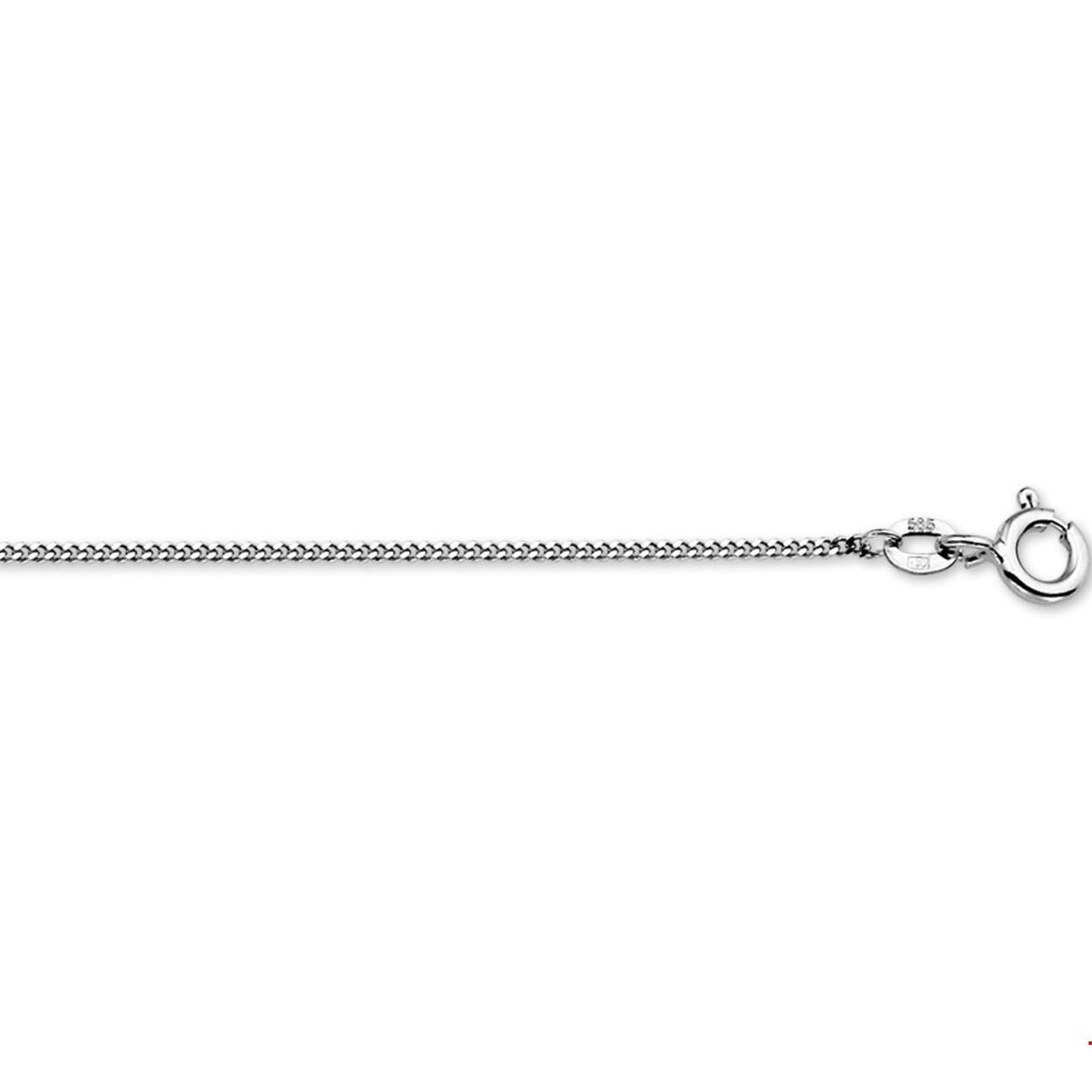 Al in het bezit van een mooie hanger? Dan is dit fijne collier de perfecte aanvulling. 
14-karaats witgouden collier met gourmet schakel. 
Breedte: 1.1 mm. Langste lengte: 45 cm.