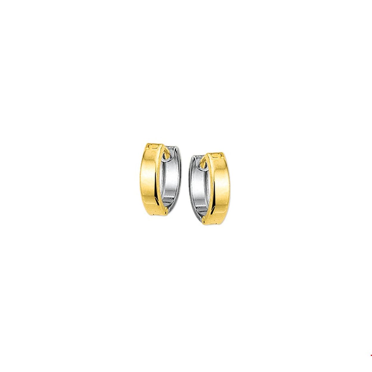 Beschrijving: Bicolor wit- en geelgouden klapcreolen gestanst met een bolle buis.
Verpakt per: 1
Doelgroep: dames
Breedte: 3 mm