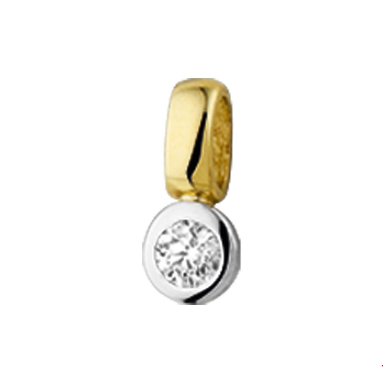 Bicolor wit- en geelgouden hanger met diamant. 
Doelgroep: dames
Breedte: 4.5 mm
Hoogte: 10 mm
Zetting: solitaire (kastzetting)