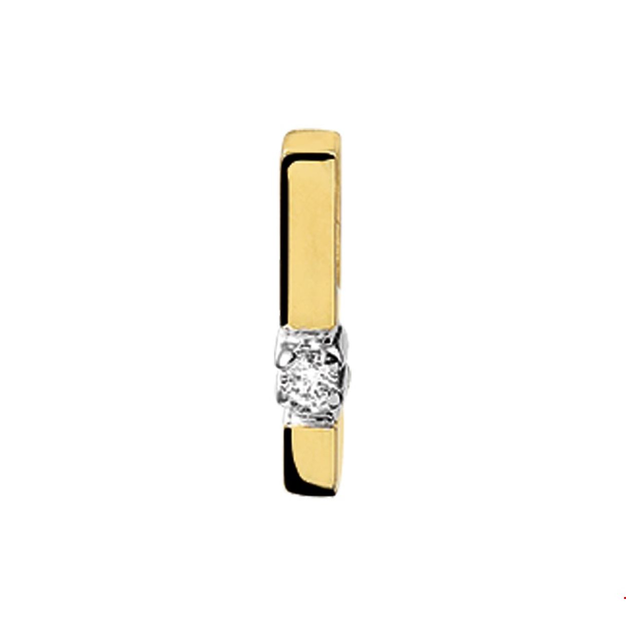 Gouden hanger fantasie staafhanger bicolor 0.03crt H-P1