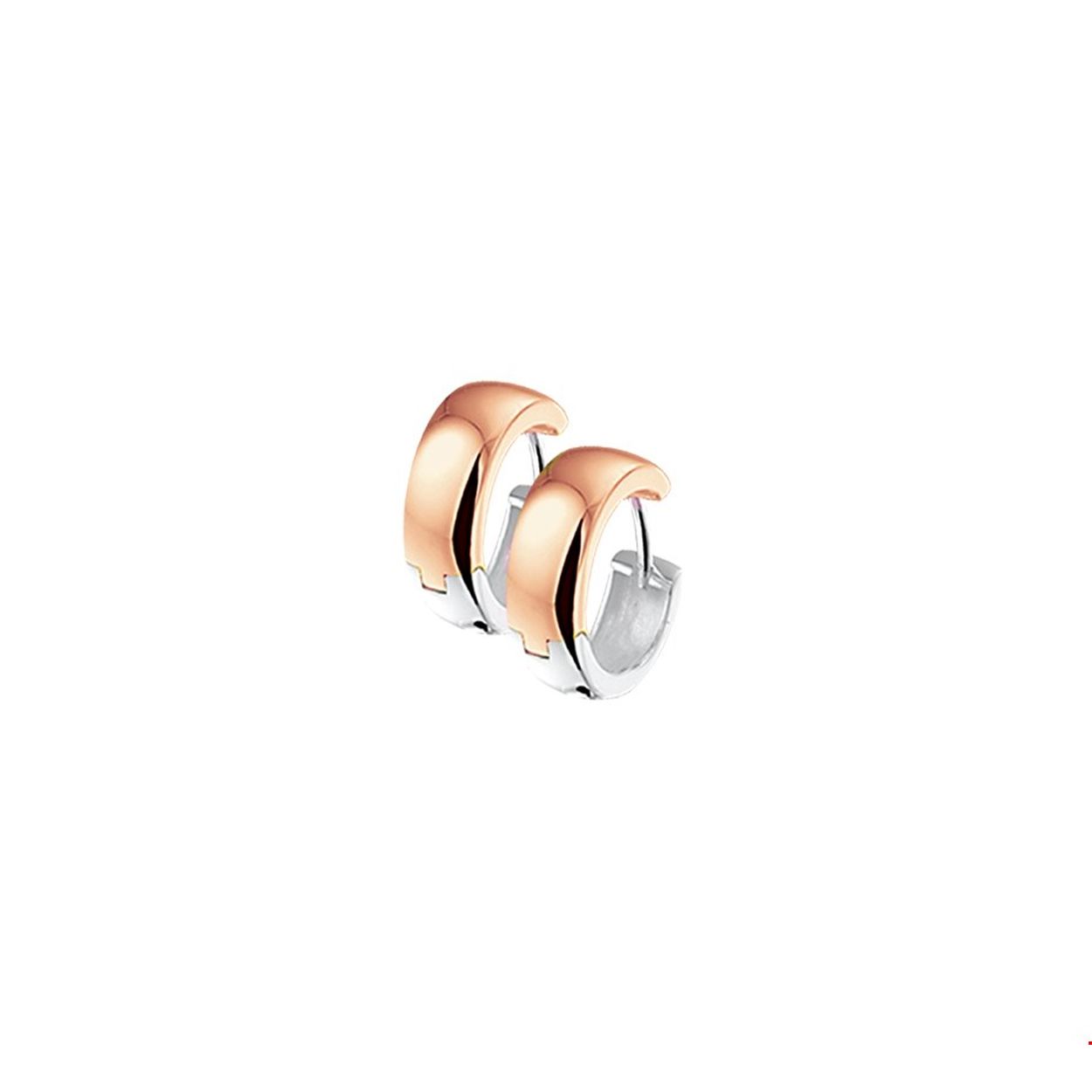 Beschrijving: Bicolor wit- en rosegouden klapcreolen gegoten met een bolle buis.
Verpakt per: 1
Doelgroep: dames
Breedte: 4 mm