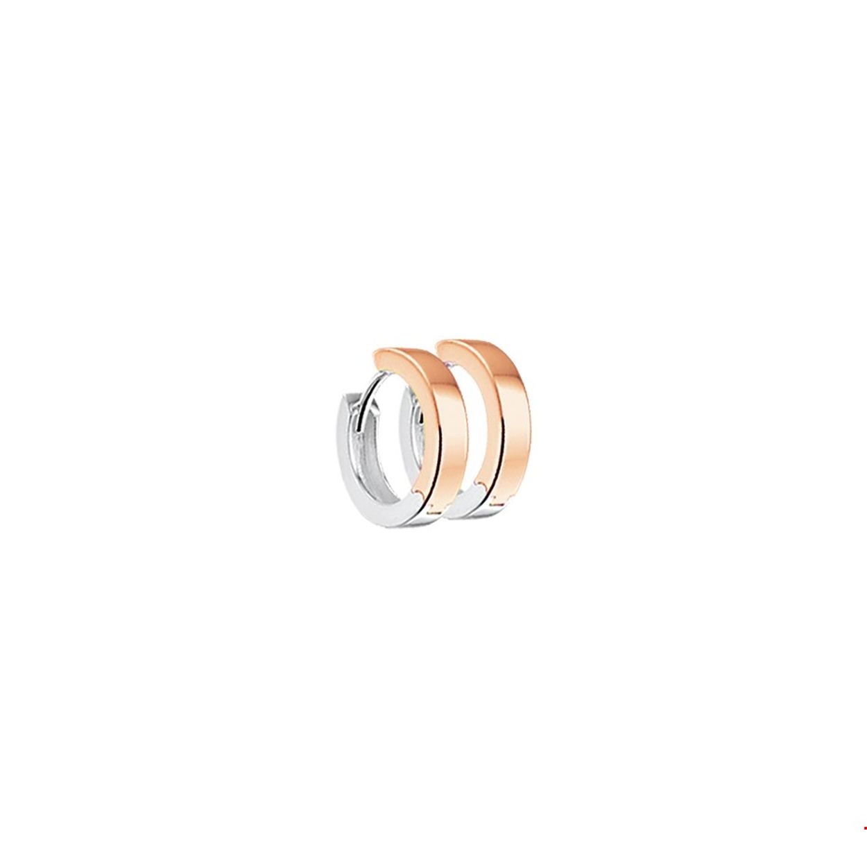 Beschrijving: Bicolor wit- en rosegouden klapcreolen gegoten met een vlakke buis.
Verpakt per: 1
Doelgroep: dames
Breedte: 3 mm